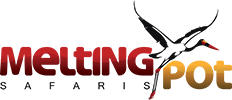 melting pot safaris 1