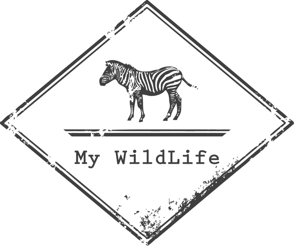 mywildlife 1