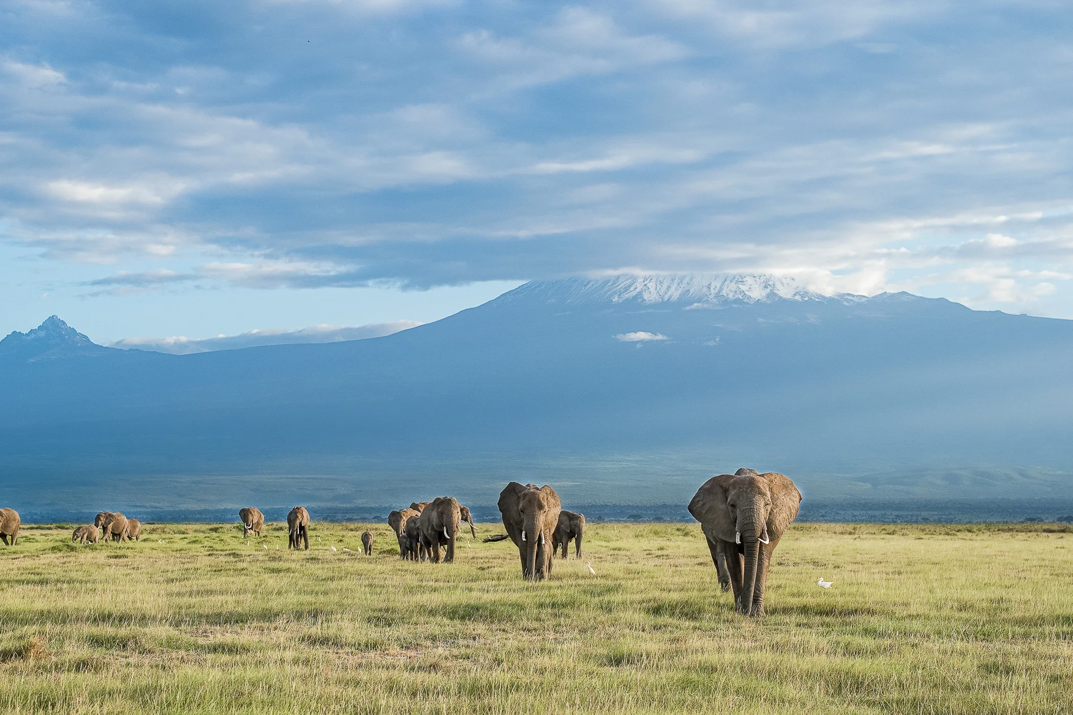 leguidesafari-kenya-amboseli-wildlife-7