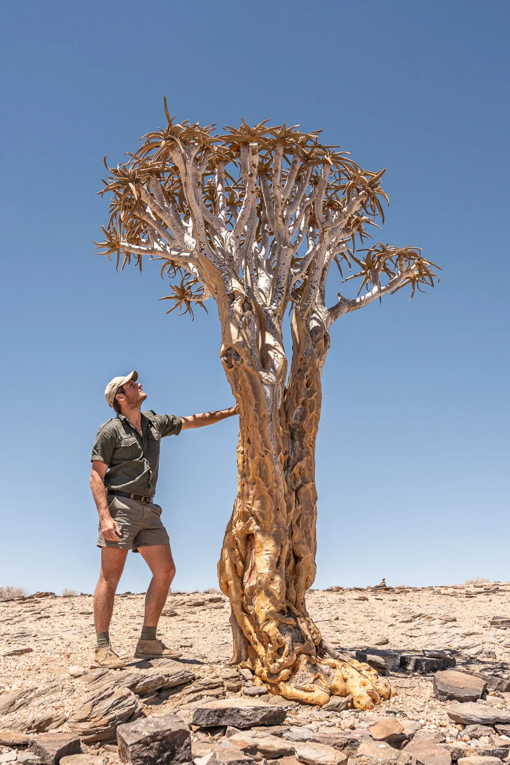 leguidesafari-portrait-valentin-lavis-12